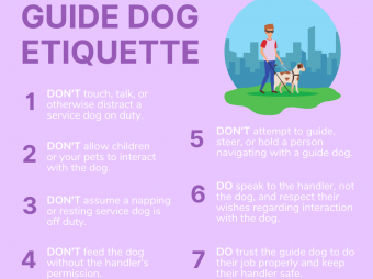 Guide dog etiquette rules for the public to follow. 
