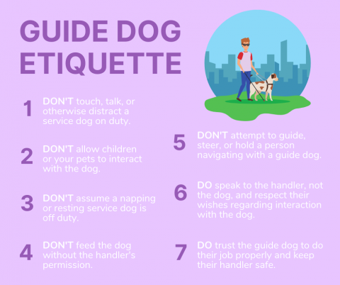 Guide dog etiquette rules for the public to follow. 